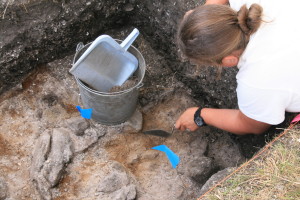 Abbe Museum_Field School